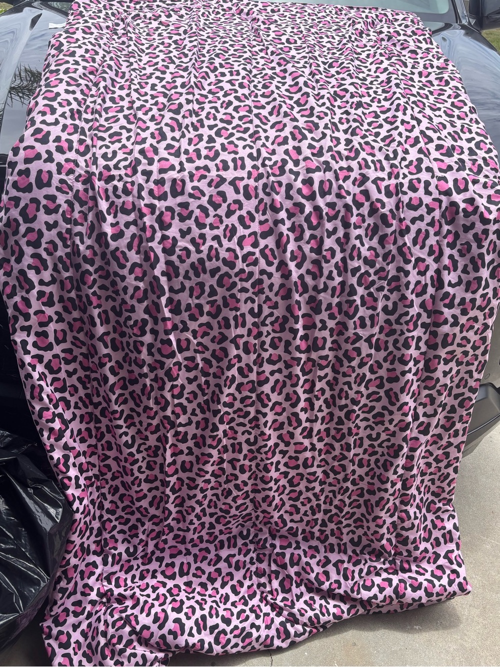 Pink Leopard Print Throw Blanket